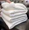 福利款！高端100s铂金木本蚕丝大豆冬被 35%蚕丝+20%大豆纤维+45%进口超细抗菌纤维 柔软温暖抑菌防螨 商品缩略图2