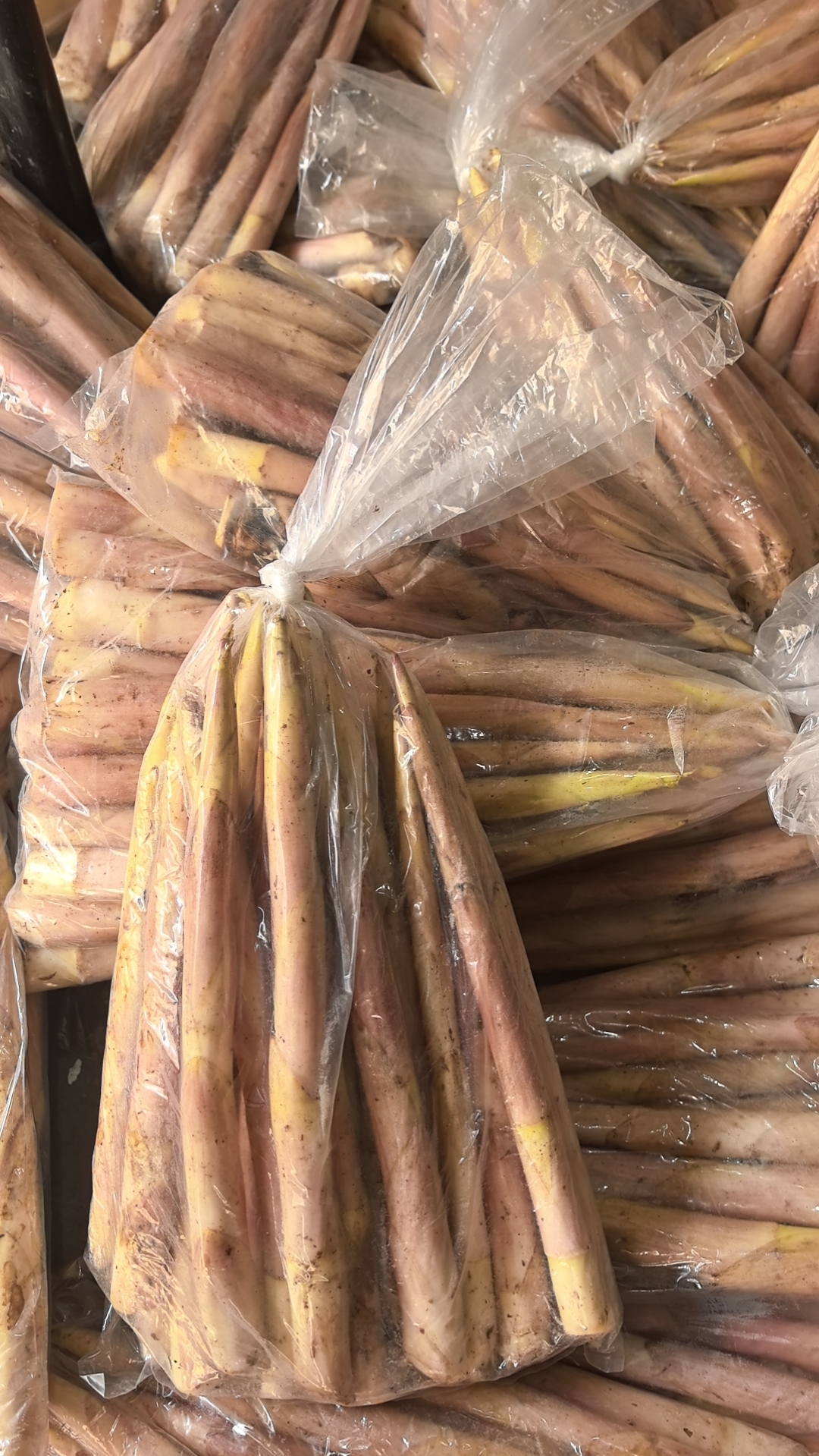 临安小笋5.8元1袋约2斤，明天到