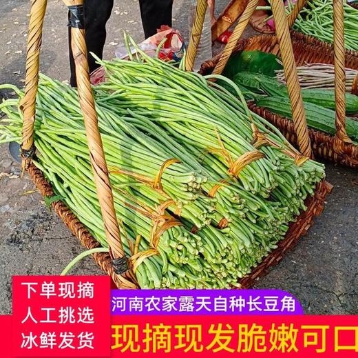 【YC】新鲜豇豆长豆角新鲜农家蔬菜自种当季现摘时令蔬菜 商品图2