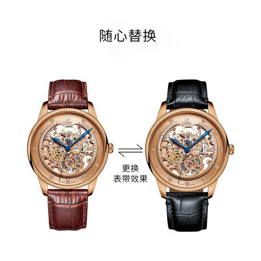 E76401620021014 依波路ERNEST BOREL 【11颗真钻】镀18K玫瑰金镂空表盘皮带自动机械男士手表男 商品图4