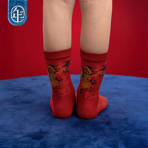 【大展鸿图袜子】年衣童装儿童短袜女童秋冬新款百搭保暖外穿袜子 商品图4