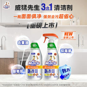 威猛先生厨房一站式油污清洁剂 500g*2 元气柠檬