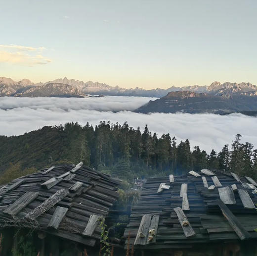 云南 | 香格里拉木鲁村2天1晚，原始森林徒步穿越，露营松茸小木屋自然资源丰富，生态环境良好。是世间难觅的原生态藏族村落！五一端午路线提前预定！ 商品图11