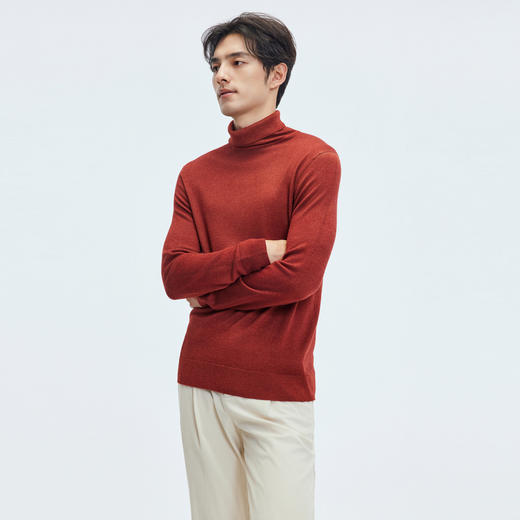 【门店同款&100%绵羊毛】圣得西2025年冬季男士针织衫高领毛衫 商品图2