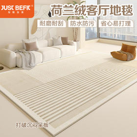 【品牌直发】新款亲肤舒适荷兰绒客厅地毯 多色可选