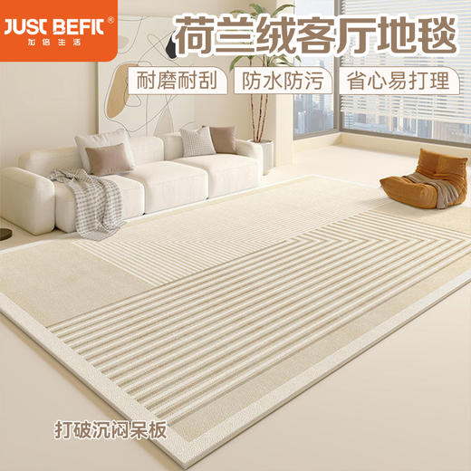 【品牌直发】新款亲肤舒适荷兰绒客厅地毯 多色可选 商品图0