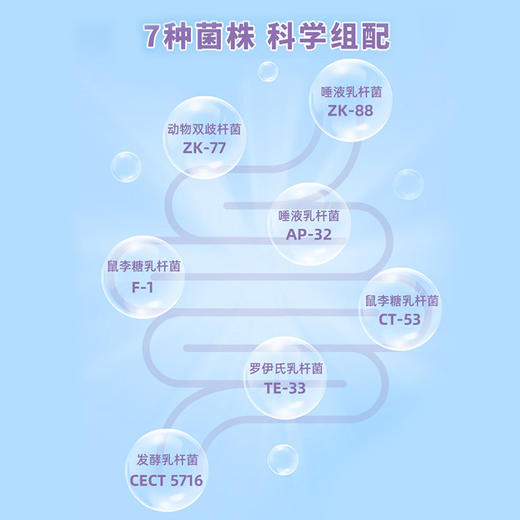 古道热肠胶原蛋白益生菌 商品图4