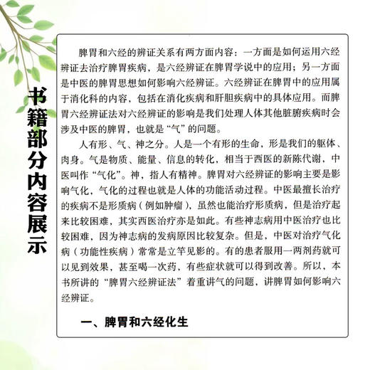 脾胃六经辨证法（上篇）吴雄志 著 脾胃和六经化生 五苓散证的辨证和临床应用 中医经典 医书 9787559136916 辽宁科学技术出版社 商品图4