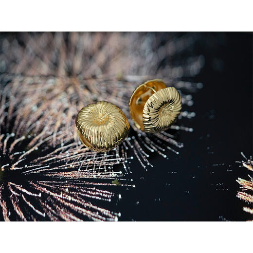 【贝拉推荐】她比烟花灿烂 烟花耳环 1:1复刻 五层厚镀拉丝工艺 明星同款 四季百搭耳钉耳环 商品图1