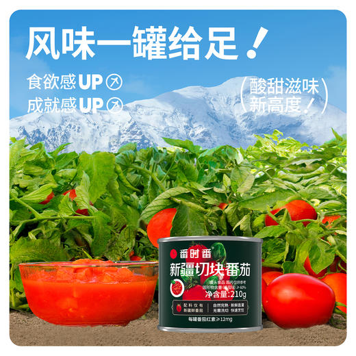 新疆切块番茄罐头|配料仅有新疆新鲜番茄，沙瓤多汁！家里有它10分钟开饭 商品图3