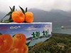 秭归 新溪源 椪柑 商品缩略图5