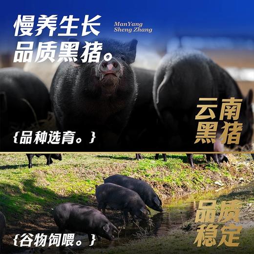 【礼券】蟹状元状元年598-5688云南黑猪肉礼盒装提货卡新春年货礼 商品图1