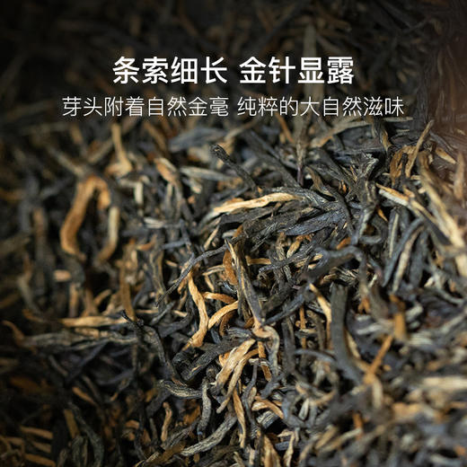 非遗滇红小金针，临沧两百年野生古树红茶 商品图1