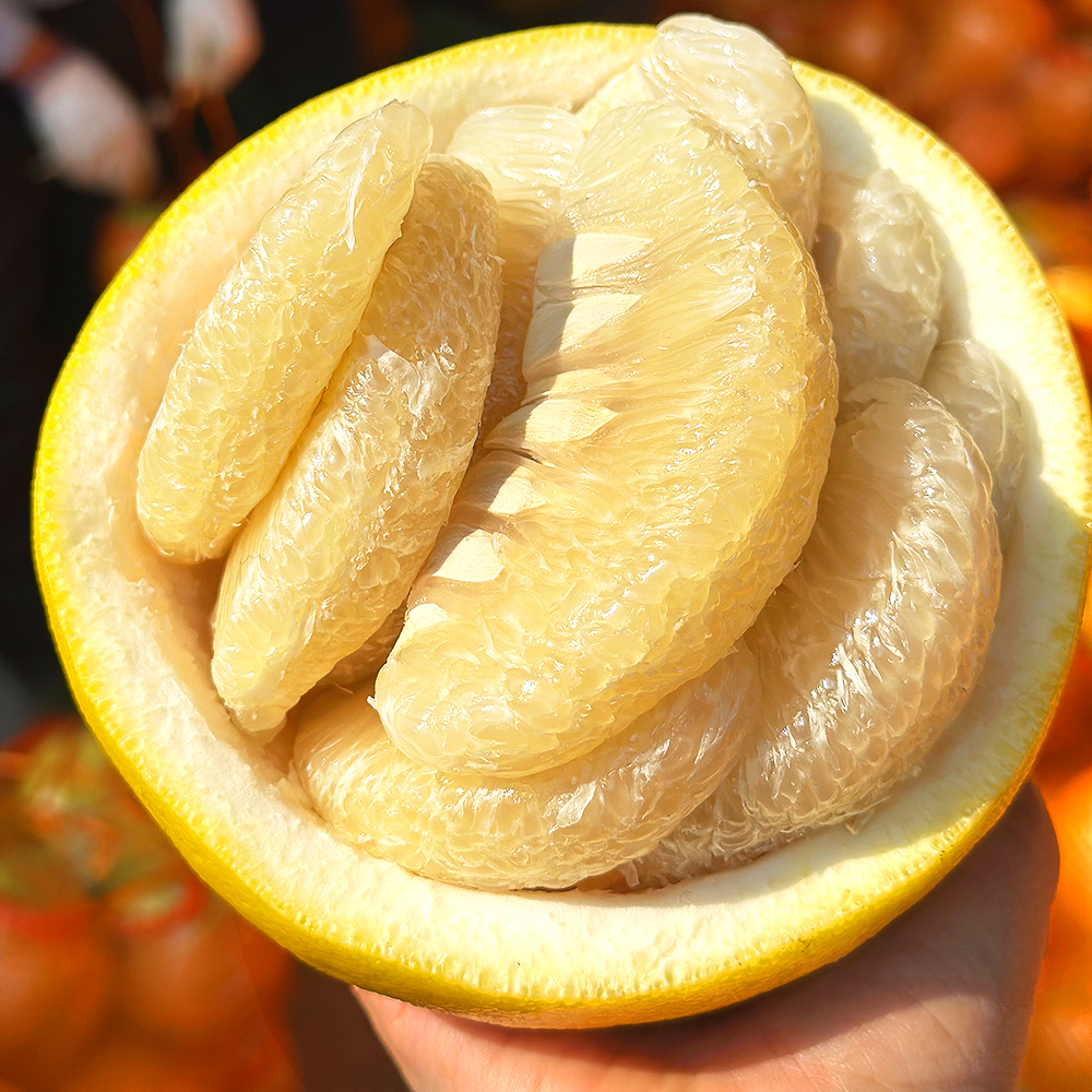 『湖南江永香柚』50年以上树龄，没有“虾线”、轻松剥出完整果肉！清甜无酸，嫩脆多汁，传统皮厚有籽的老品种！