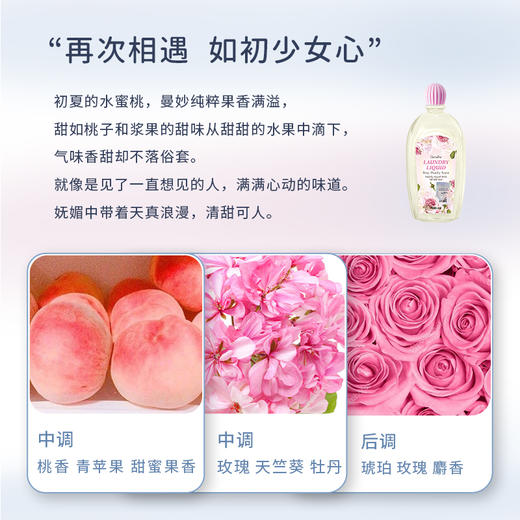 【3瓶特惠】泰国芝芙莲内衣洗衣液500ml*3瓶装 (NN00) 商品图4