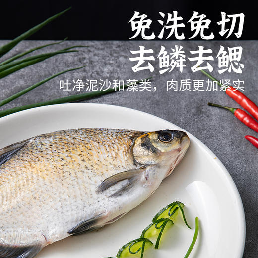 [最农公社]年货节|千岛湖冰鲜生态鳊鱼现杀现发冰鲜鳊鱼500g*2条顺丰发货 商品图1