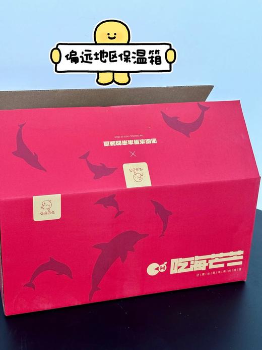 吃海芒芒｜海南四角豆 商品图2