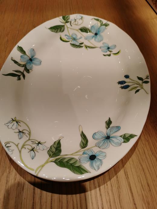 冠祥 蓝精灵12.5寸自然纹鱼盘 商品图0