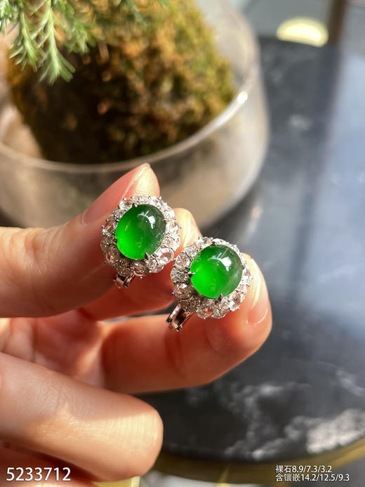 老坑帝王绿蛋面耳钉【5233712】具体价格微信咨询 商品图3