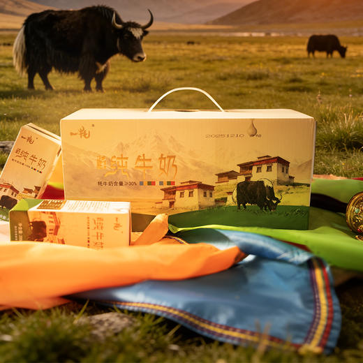 一牦 藏地高原 牦牛纯牛奶30%  源自海拔3500米藏地高原 天然牧场珍稀营养 商品图1