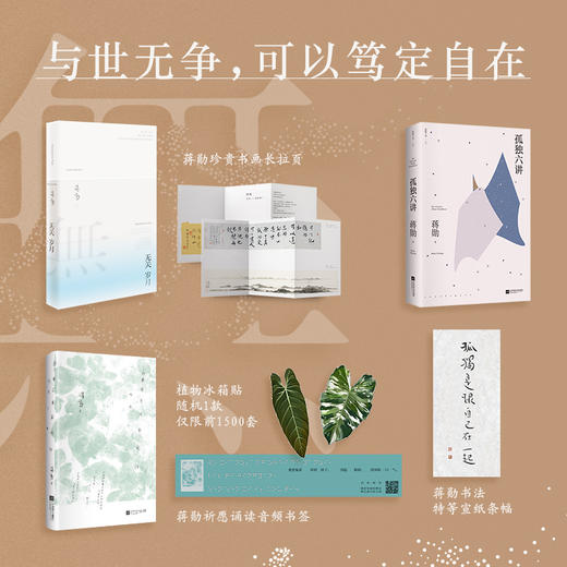 《实无所得：蒋勋生命三书》典藏全3册 商品图2