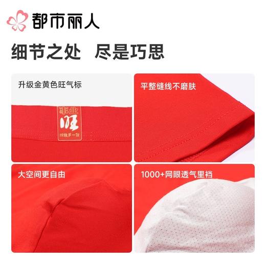 都市丽人内裤红品男士内裤60S木莱尔内裤人棉平角明筋FKCC0601 商品图3