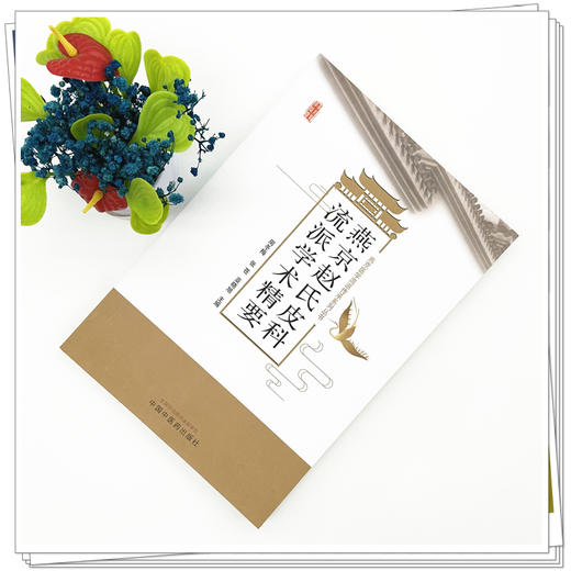 燕京赵氏皮科流派学术精要 燕京医学流派传承系列丛书 周冬梅 张苍 亚晓旭 主编 临床医学 中医学 9787513291484中国中医药出版社 商品图2