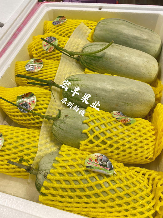 【宏丰精选】 蜜园18号甜瓜 香味浓郁，口感甜，很细腻，活动价‼️12.8一斤 商品图3