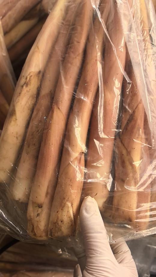 临安小笋5.8元1袋约2斤，明天到 商品图2