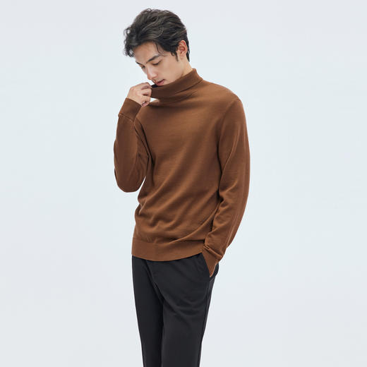 【门店同款&100%绵羊毛】圣得西2025年冬季高领毛衫青年男款毛衣 商品图3