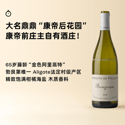 企鹅市集|法国德维兰酒庄 布哲宏干白 康前康帝庄主自有酒庄 65岁藤龄金色Aligote 勃艮第唯一法定aligote村庄 产区先锋 商品图0