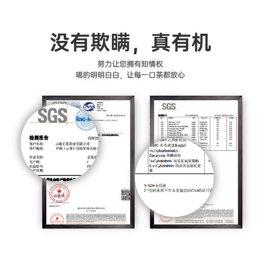 有机生普  5g*12/盒 商品图4