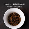 非遗滇红小金针，临沧两百年野生古树红茶 商品缩略图2