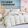 60支全棉贡缎四件套(小兔乖乖) 商品缩略图1