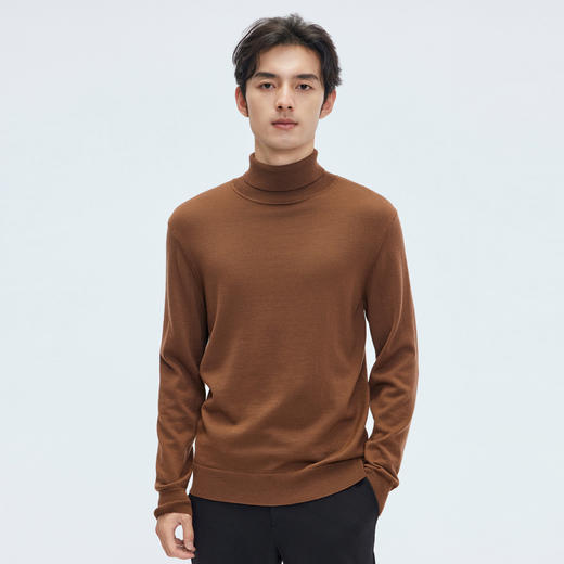 【门店同款&100%绵羊毛】圣得西2025年冬季高领毛衫青年男款毛衣 商品图2