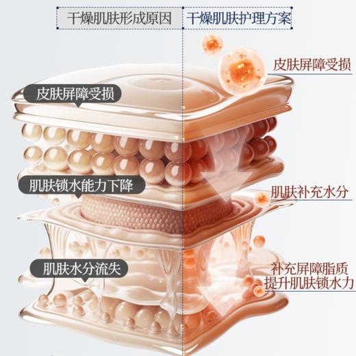 E45 英肤缇 补水莹润护手霜 50ml 商品图5