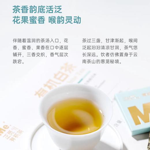 有机白茶   5g*20片 商品图3
