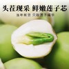 正宗头茬莲子芯200g 嫩绿芽头 茶色鲜亮 清新甘润 商品缩略图2