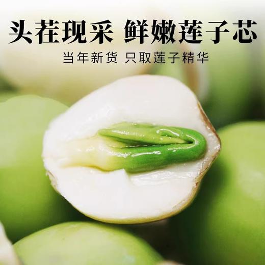 正宗头茬莲子芯200g 嫩绿芽头 茶色鲜亮 清新甘润 商品图2