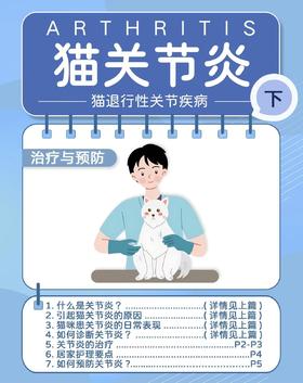  猫关节炎不可怕，如何预防猫咪关节炎