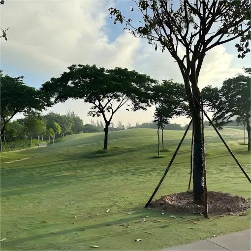 越南·哈默尼高尔夫公园 Harmonie Golf Park  | 胡志明高尔夫球场 | 越南高尔夫球场俱乐部 | 东南亚 商品图5