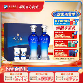 洋河 天之蓝礼盒 46度 480mL 双支装
