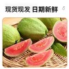 【维C之王❗️正宗红心芭乐干】甄选品质原料制作，选用自然熟红优质芭乐，轻工艺制作，美味健康无负担，袋番石榴水果干去籽果脯蜜饯休闲零食L 商品缩略图3