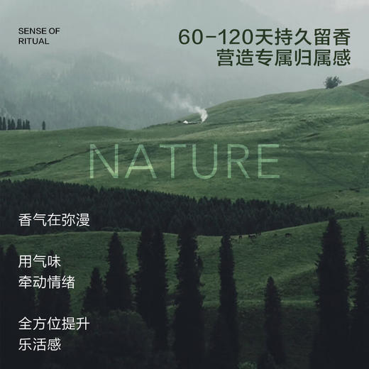 美穗吉家 大师调香无火香薰-密境雪松100ml 商品图6