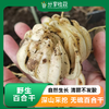 野生百合干 | 公平贸易 |*Wild Dried lily 商品缩略图0