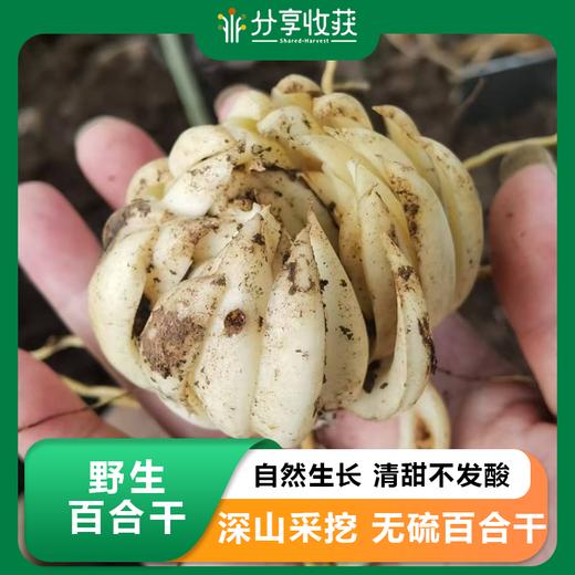 野生百合干 | 公平贸易 |*Wild Dried lily 商品图0