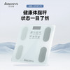 艾贝丽体脂秤ABL-DTZ171【分仓直发，72小时发货，周末节假日不发货】 商品缩略图2