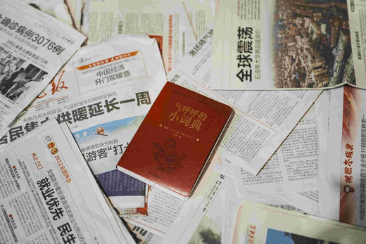 气呼呼的小词典  [意]老安/著  卢悦/绘 北贝  单读，小波，摄影，新现实主义，意大利，世界公民，文学，移民，资本主义，广西师范大学出版社 商品图3