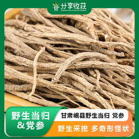 甘肃岷县野生当归  党参  | 野生采挖 | 公平贸易 * Wild Codonopsis Of Min County | Fair Trade