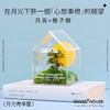 花治新品-月光青草屋 商品缩略图4